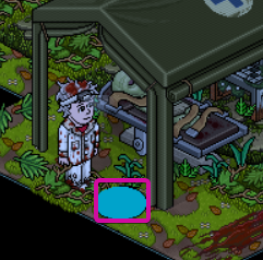 House 8
