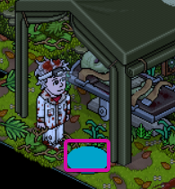 House 8
