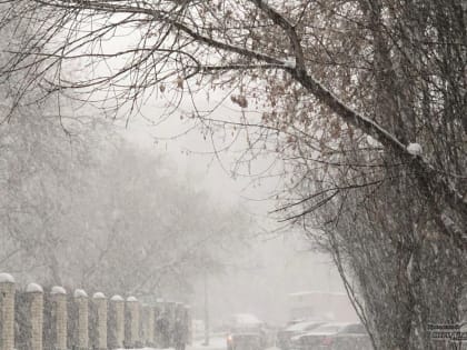 Пить чай и греться: свердловские власти собрали экстренное совещание из-за снегопада