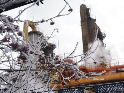 В Свердловской области МЧС объявило штормовое предупреждение из-за лютых морозов