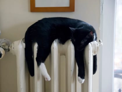 Каменцы пожаловались на отсутствие отопления