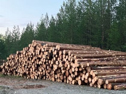 Все ли в доле?