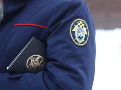 Следственным отделом по городу Североуральск регионального СКР проводится проверка по сообщению о совершении противоправных действий в отношении несовершеннолетней воспитанницы инт
