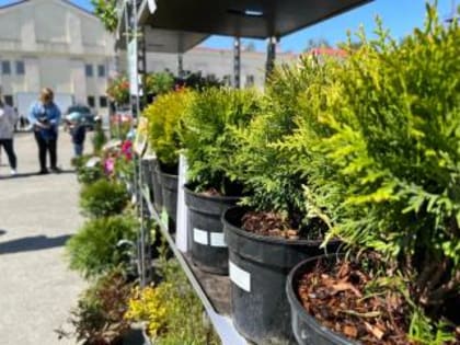 Осенние ярмарки в Берёзовском