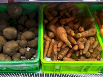 Куры и яйца дорожают в Оренбуржье, а борщевой набор дешевеет