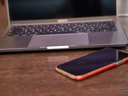 У госпабликов Свердловской области больше 3,8 миллионов подписчиков