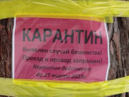 В Свердловской области все чаще стали выявлять случаи бешенства диких животных