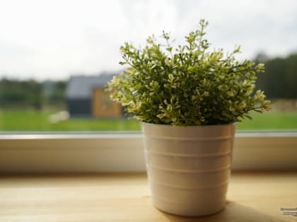 В Сосьве пострадавшим от природного пожара начали вручать ключи от новых домов