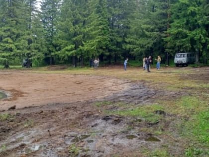 Лес на миллионы рублей вырубили под Нижним Тагилом. Делом занялось МВД