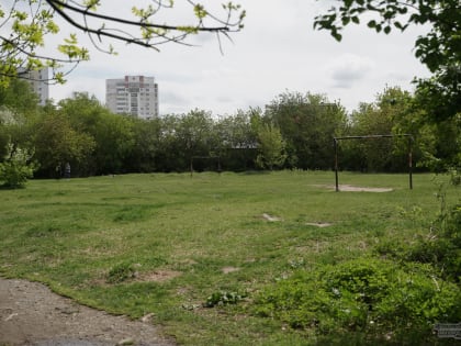 Власти Екатеринбурга спасут от застройки 700 тысяч квадратов зелёных зон