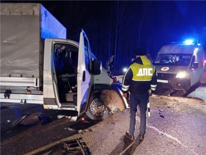 Трагедия на дороге: хоккейный тренер Виктор Русаков погиб в ДТП