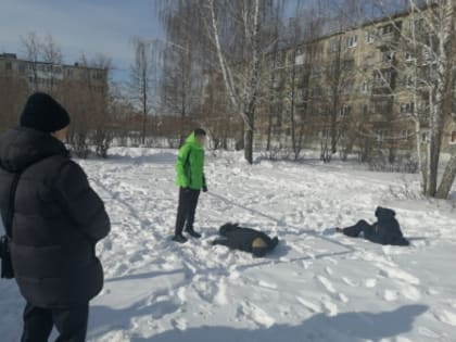 В Сухом Логу вынесен приговор в отношении двух подростков, применивших насилие к своим сверстникам (ФОТО)