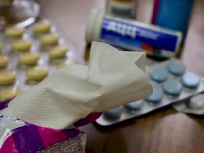 Заболеваемость ОРВИ в Свердловской области вновь пошла в рост