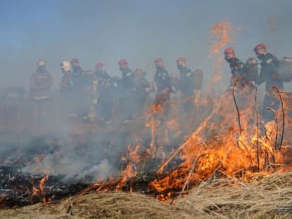 Уральские регионы получили средства для компенсации затрат на пожаротушение лесов