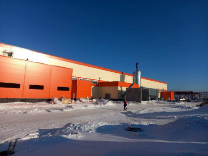 В регионе открываются производства по переработке древесины