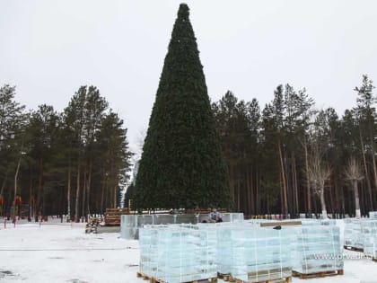 В Первоуральске установили главную елку