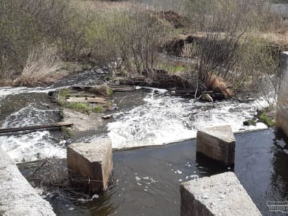 В Академическом расчистят дно и укрепят берега Патрушихи