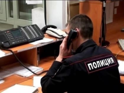 Мошенник из Нижнего Тагила обманул жительницу Егоршино на продаже гитары