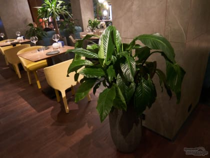 Три ресторана Екатеринбурга вошли в шорт-лист «русского Мишлена»