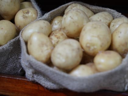 В Свердловской области весь май дорожал картофель