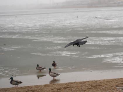 В Екатеринбурге есть риск провалиться под лёд из-за его непрочной структуры