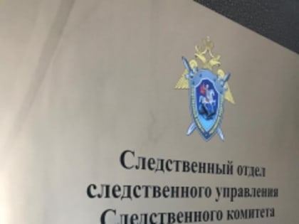 В Красноуфимском районе местный житель признан виновным в особо тяжком преступлении в отношении своего двоюродного брата