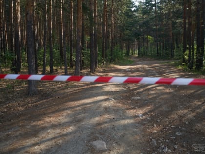 В лесах Свердловской области отменили режим ЧС с 1 июля