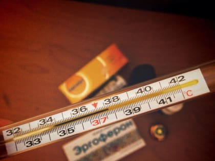 Свердловскую область накрывает новая волна гриппа