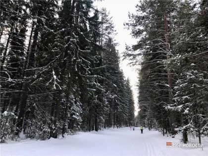 Во второй половине неделе в Нижнем Тагиле ожидается похолодание