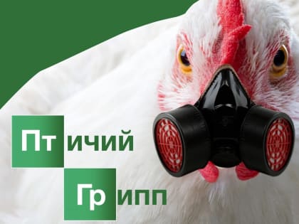 Семеноводство, ветпрепараты и продукты питания – в МинАПК назвали перспективные направления сотрудничества с Республикой Беларусь