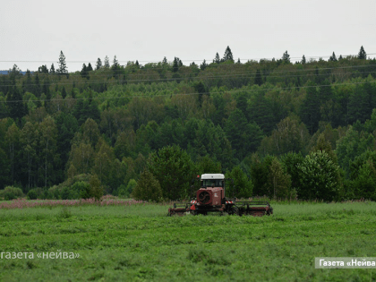 Фермерских хозяйств и личных подсобных хозяйств в Свердловской области всё меньше