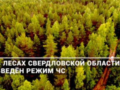 Введён режим чрезвычайной ситуации