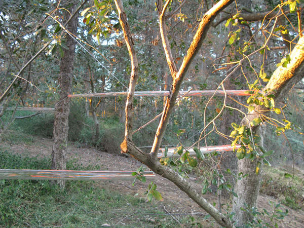 Study for Glass Path and Pavilion, 2013, Griffith Park...with Rennie Tang