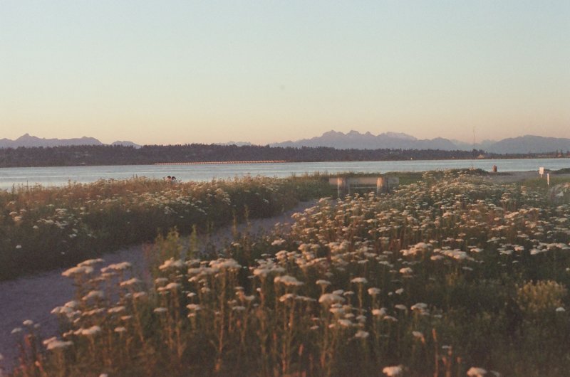 Portfolio image 4 for On Film