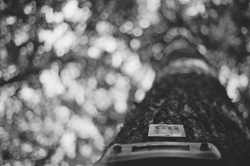 Portfolio image 17 for On Film