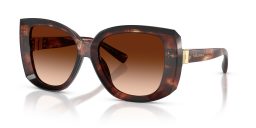 Dolce&Gabbana 0DG4495 Güneş Gözlüğü