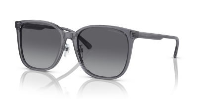 Emporio armani 0EA4206D gözlük