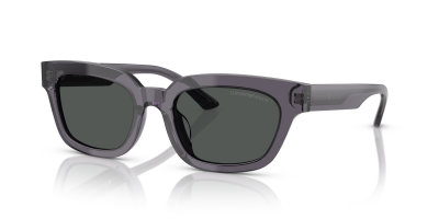 Emporio armani 0EA4233U gözlük