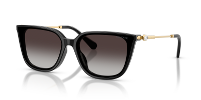 Swarovski 0SK6054D gözlük