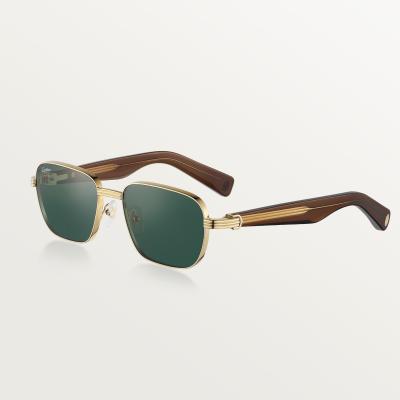 Cartier CRESW00725 gözlük