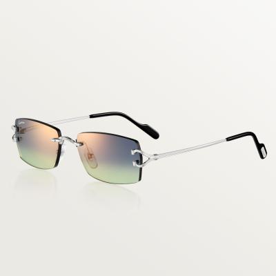Cartier CRESW00799 gözlük