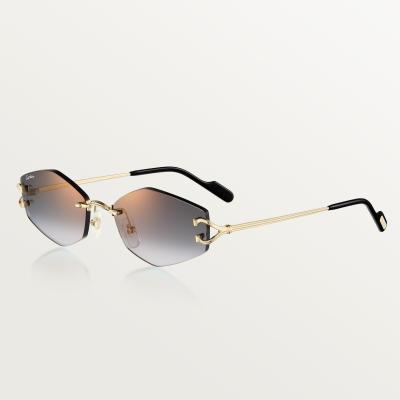 Cartier CRESW00796 gözlük