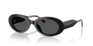 Giorgio Armani 0AR8234U Güneş Gözlüğü