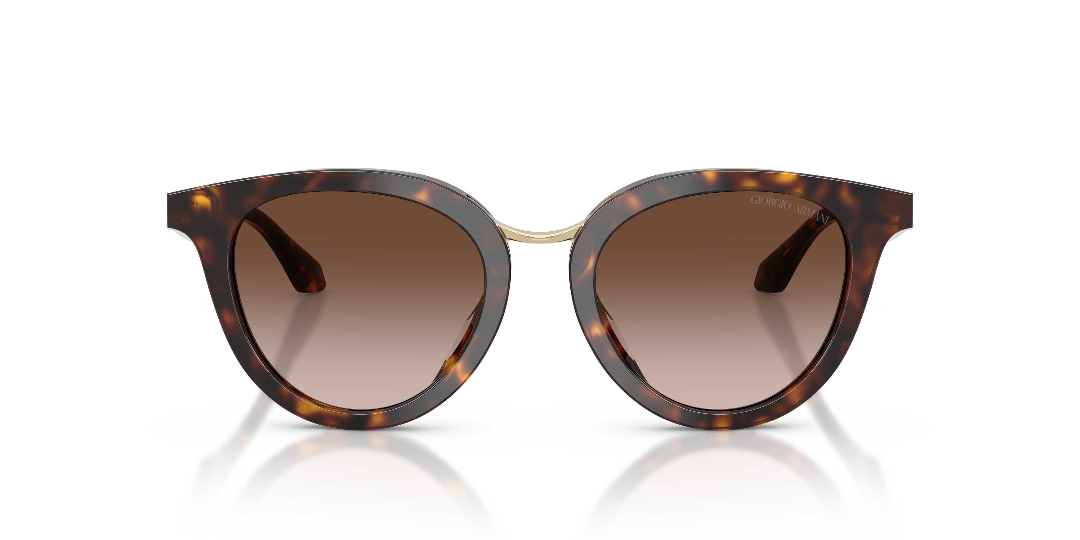 Giorgio Armani 0AR8252U Güneş Gözlüğü 4