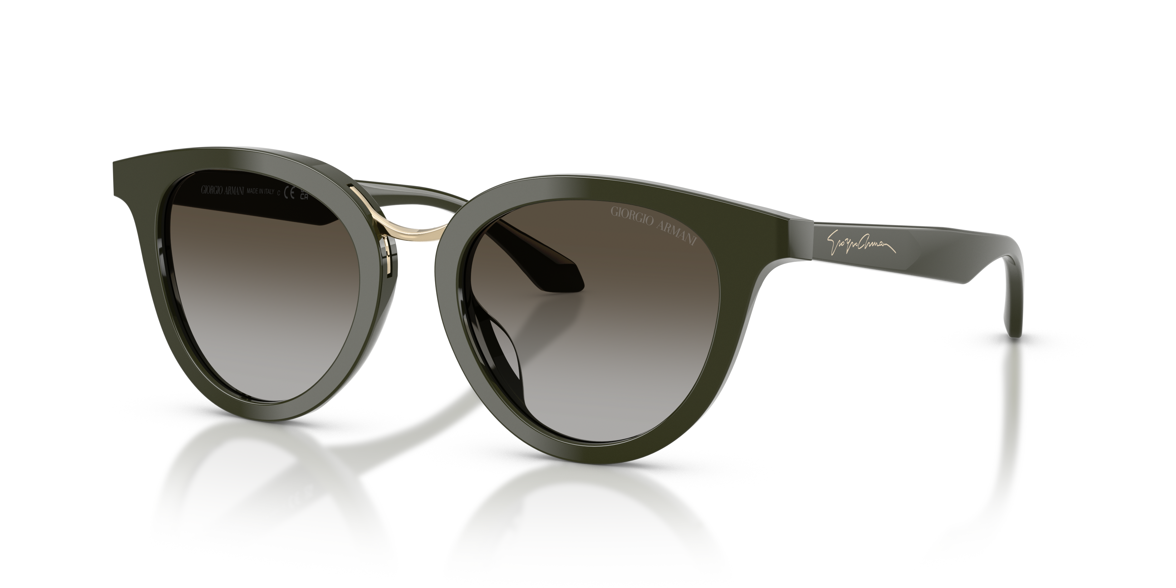 Giorgio Armani 0AR8252U Güneş Gözlüğü
