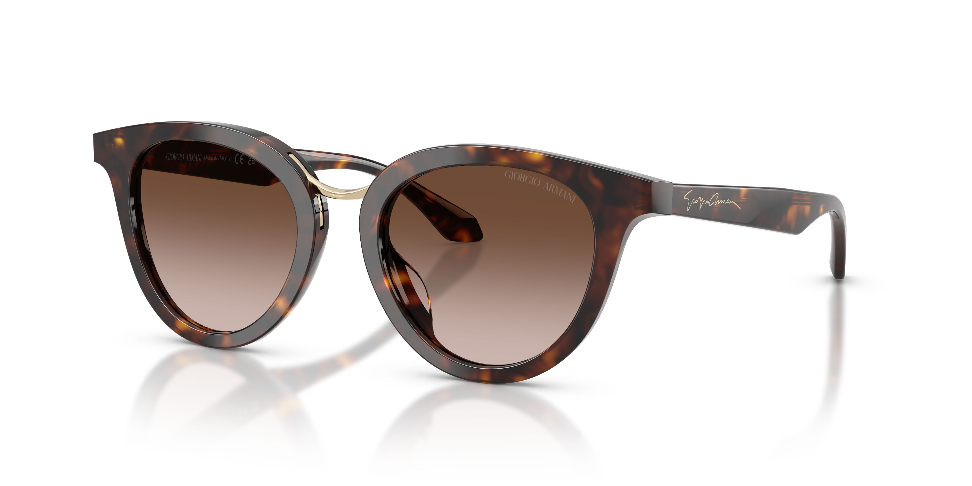 Giorgio Armani 0AR8252U Güneş Gözlüğü