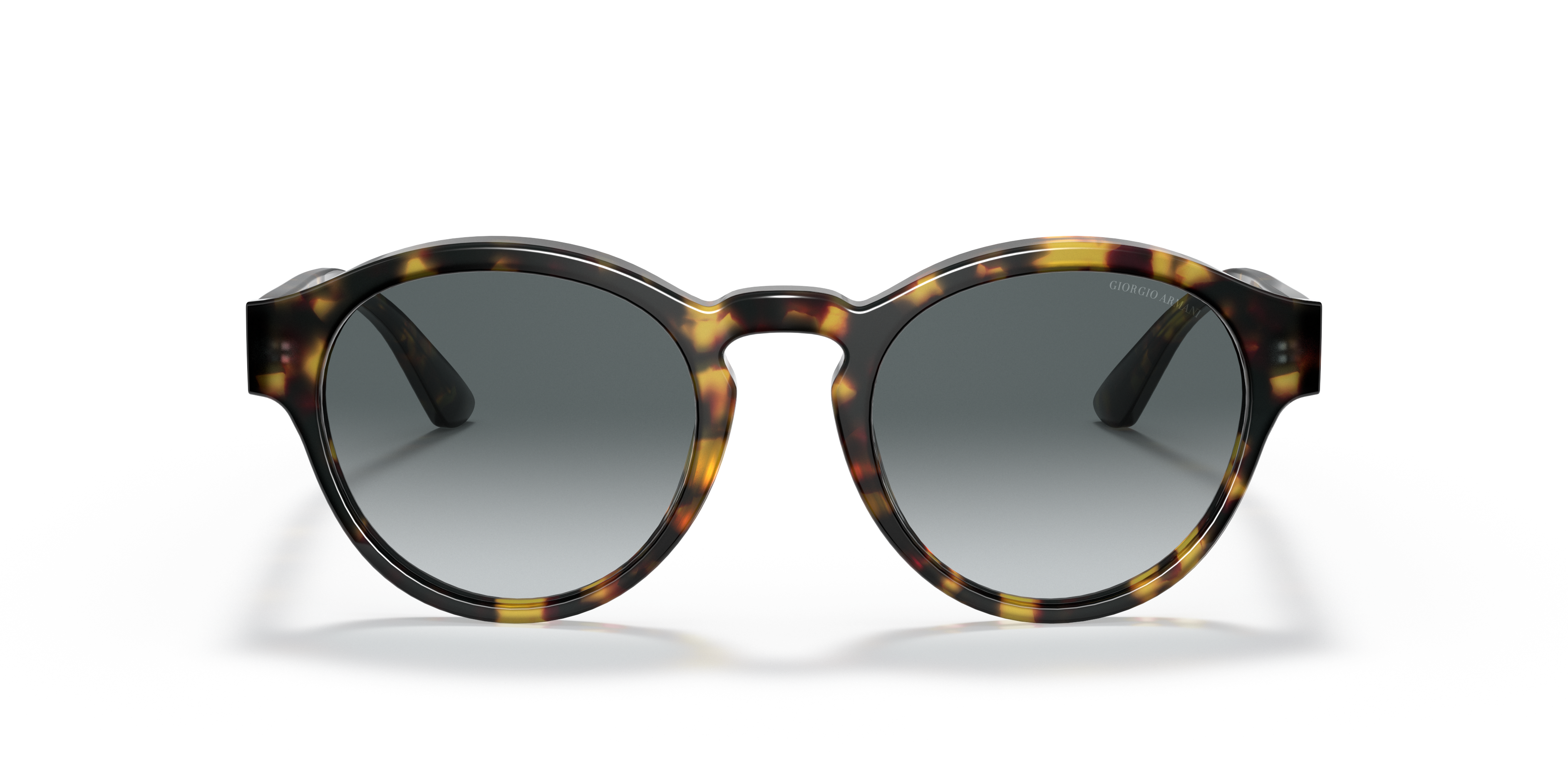 Giorgio Armani 0AR8146 Güneş Gözlüğü 4