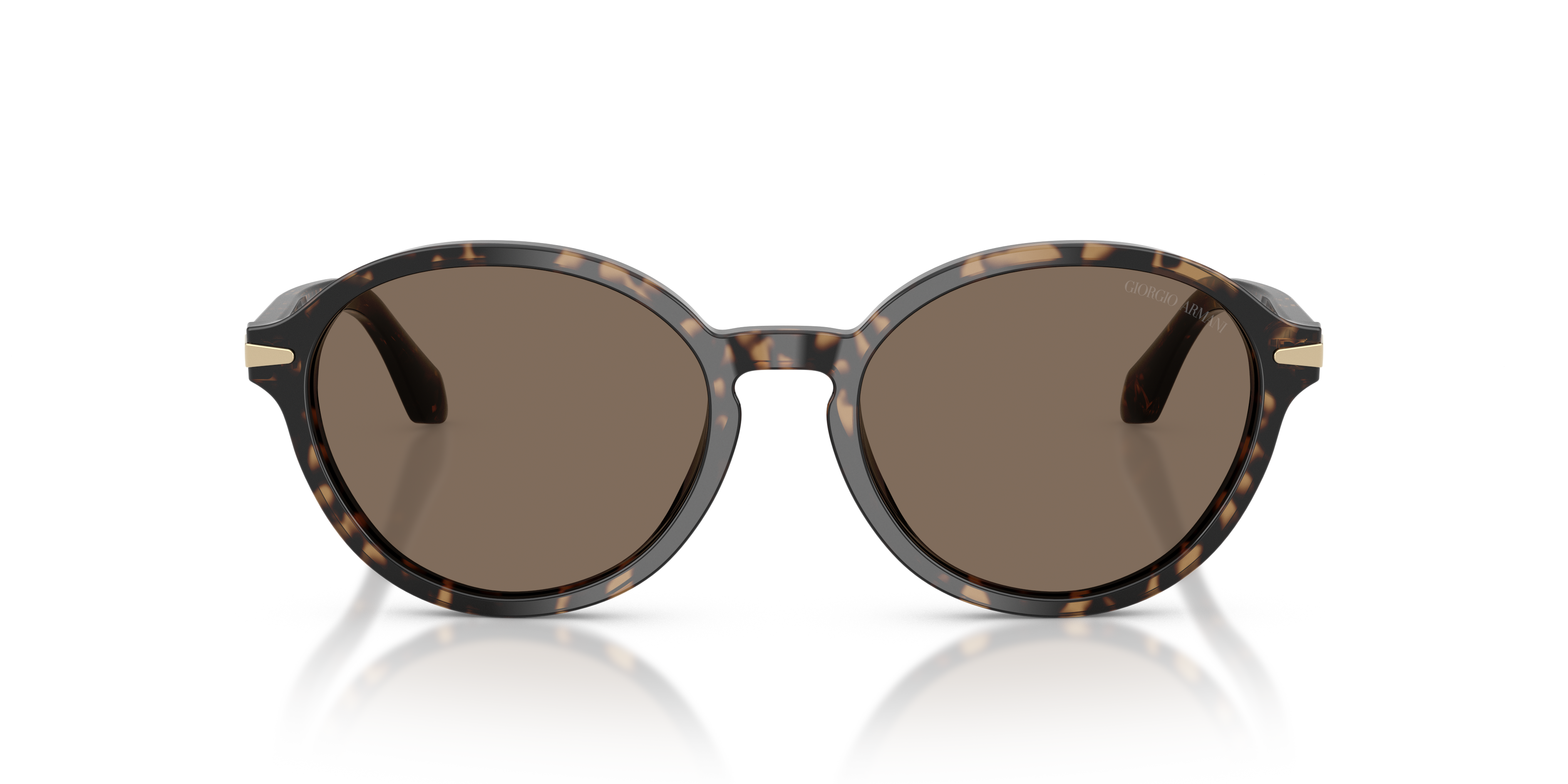 Giorgio Armani 0AR8237 Güneş Gözlüğü 4