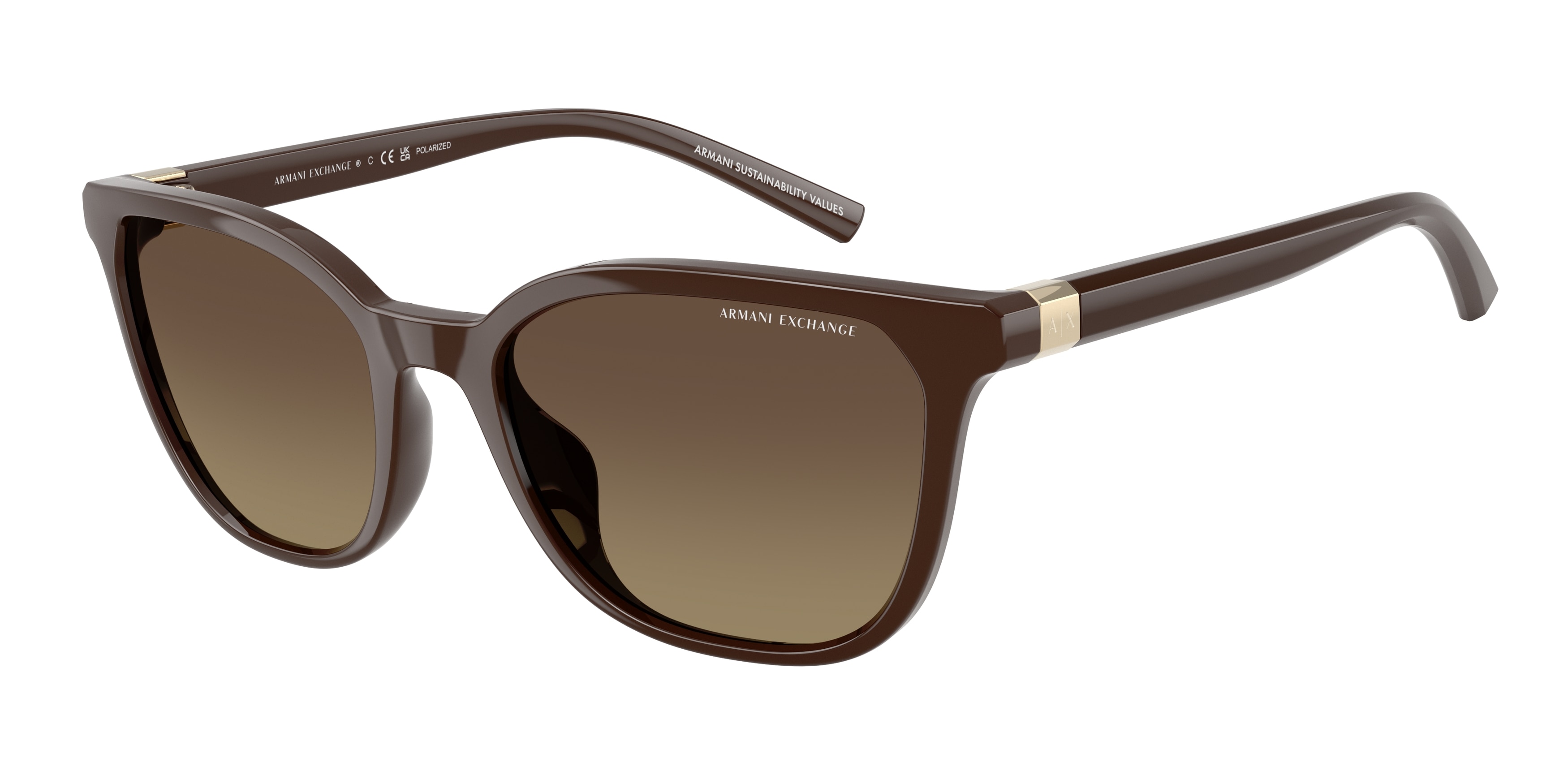Armani Exchange 0AX4168SU Güneş Gözlüğü