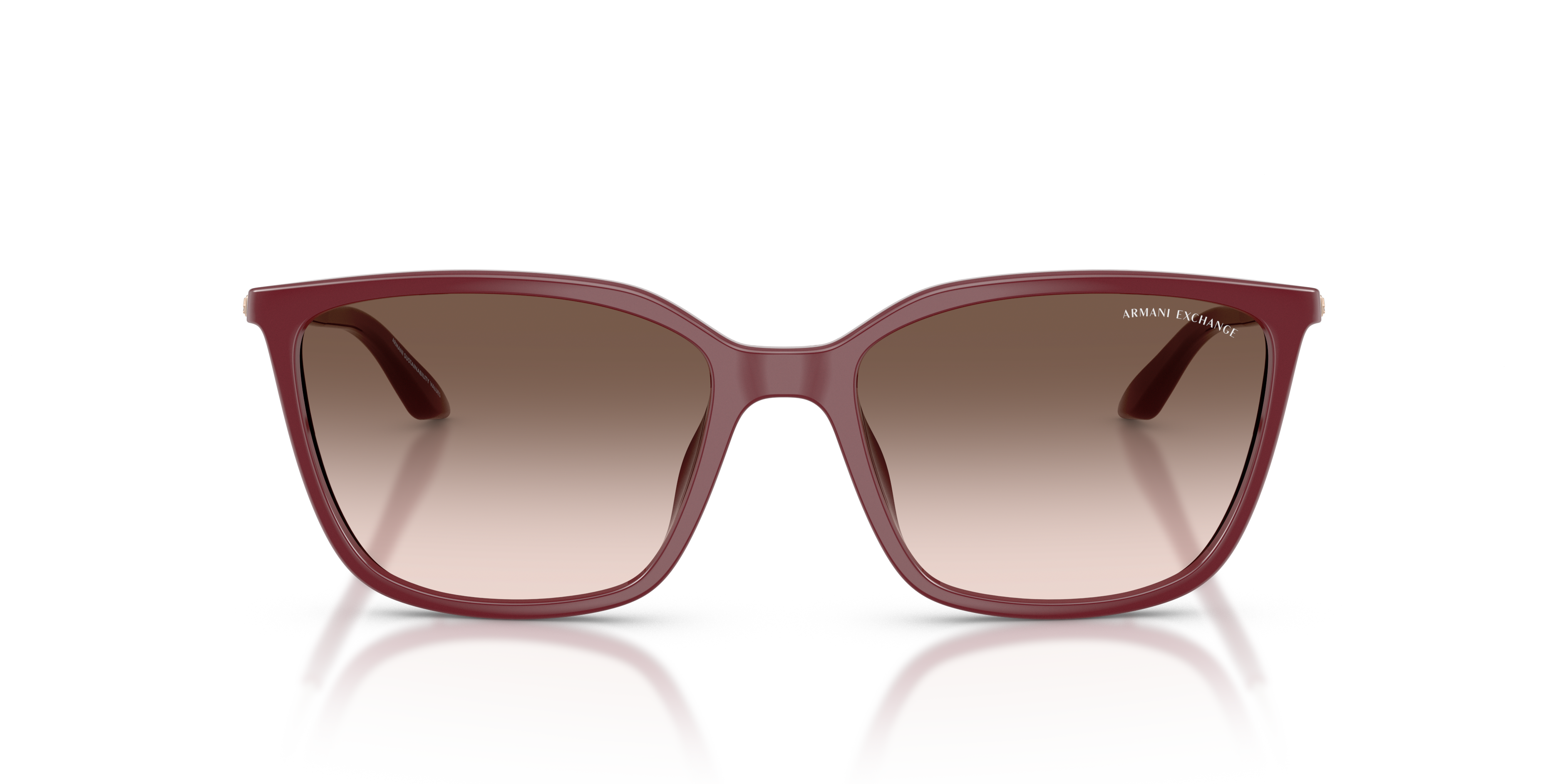 Armani Exchange 0AX4171SU Güneş Gözlüğü 4